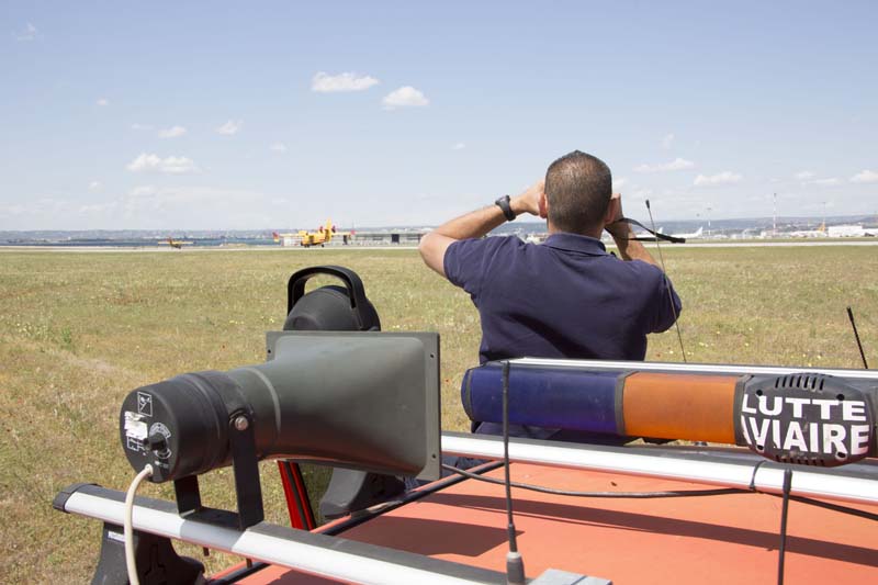 agent observant le risque aviaire sur un aéroport