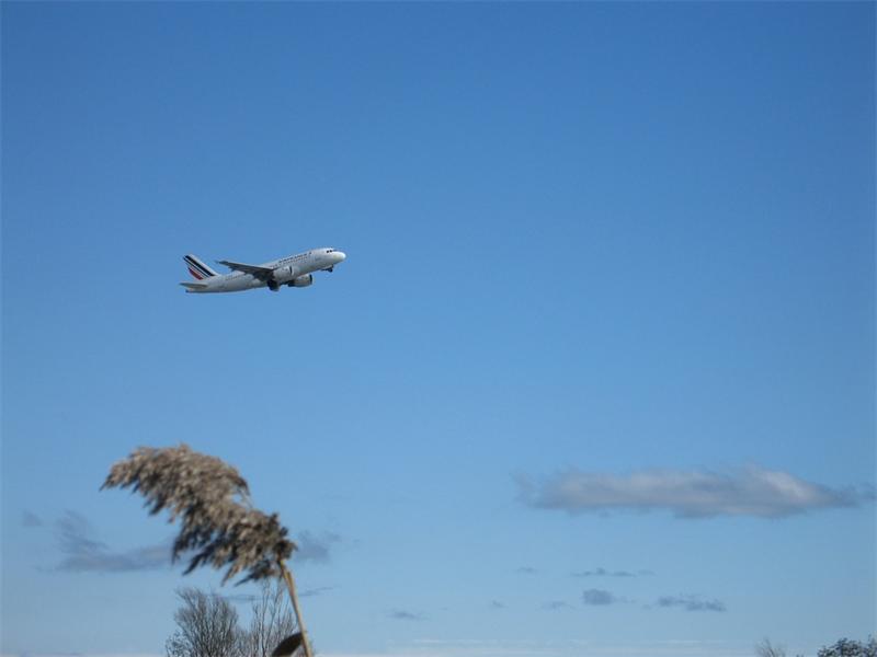 Zone humide aux abords de l'aéroport de Nice-Côte d'Azur susceptible d'être attractive pour les oiseaux