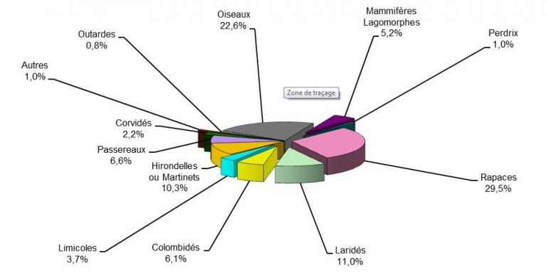 graphique représentant la répartition des collisions par type d'animal