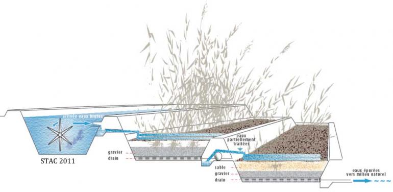 schéma représentant un exemple de fonctionnement d'un filtre planté