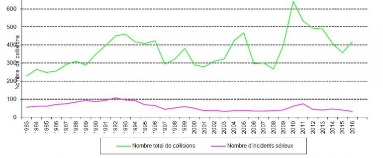 Graphique relatif à l'évolution du nombre de collisions entre 1983 et 2016