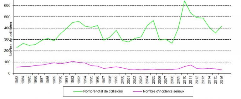 Graph relating to the evolution of the number of collisions between 1983 and 2016