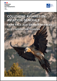 collisions_aviaires_9.png?itok=qyRARe3V