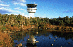 photo représentant un étang avec des canards près d'une tour de contrôle d'un aérodrome.