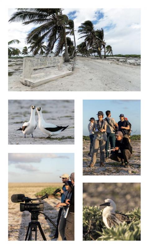 Etude biodiversité sur l'ile Tromelin